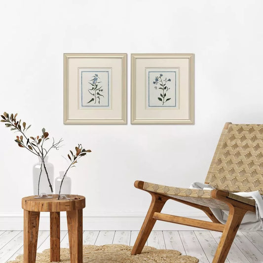 Shabby Chic Botanical Set Of 2