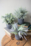 Faux Ferns in Round Grey Pot
