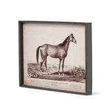 Prized Race Horse Frame Print