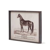 Prized Race Horse Frame Print