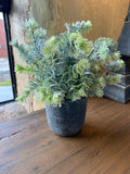 Faux Ferns in Round Grey Pot