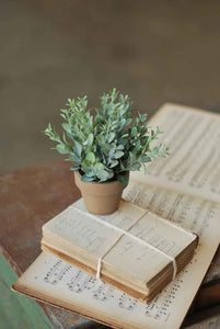 Gatehouse Herb Pot