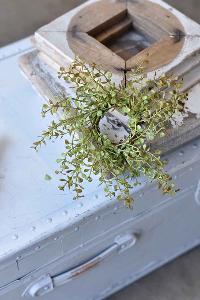 Baby's Grass Candle Ring