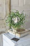 Seraph Vine Candle Rings